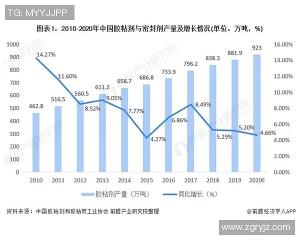 中国体育器材品牌崛起之路探讨与市场前景分析